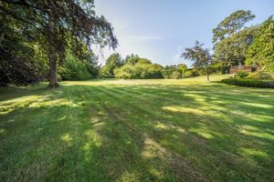 Photo 48- click for photo gallery